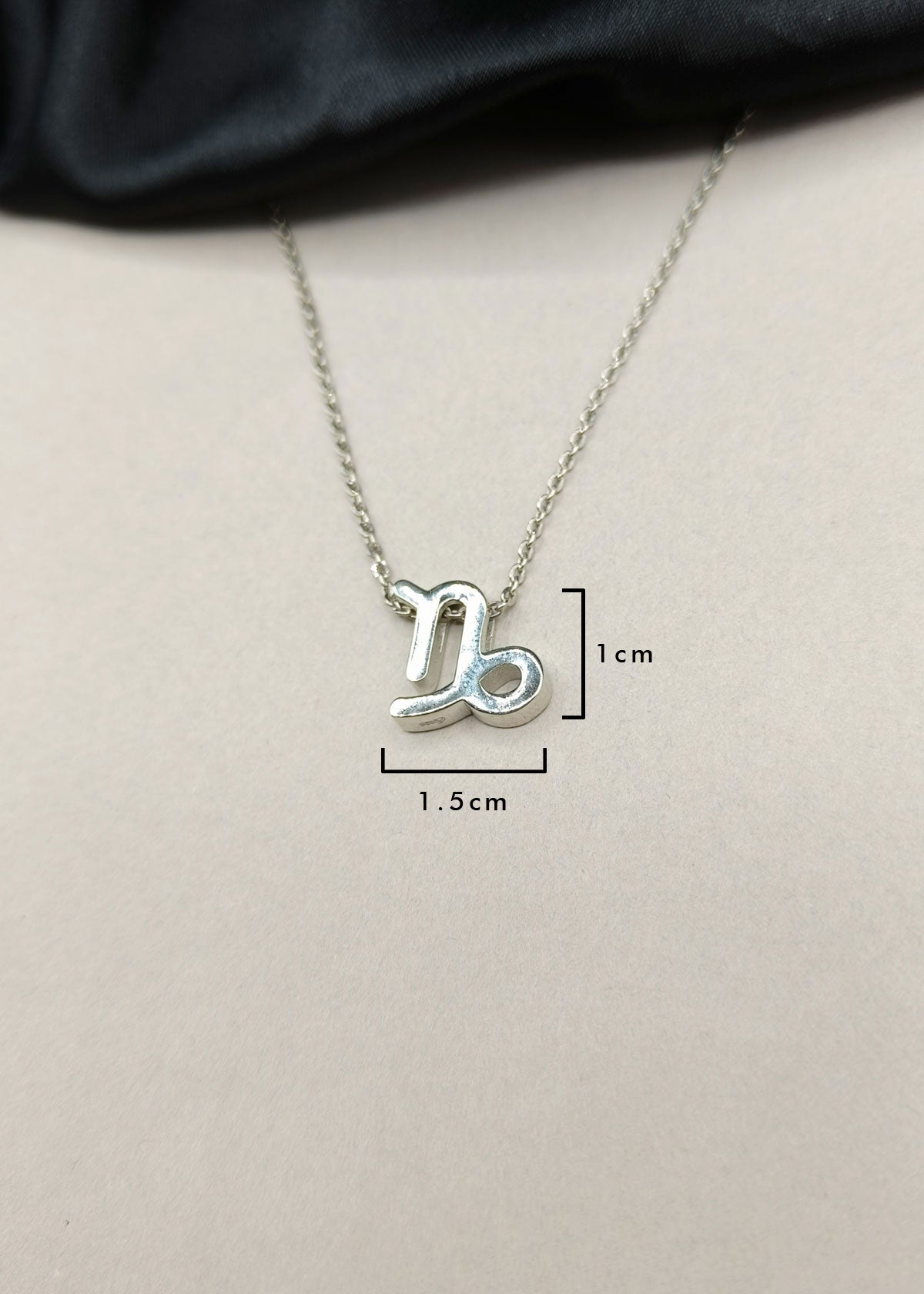 92.5 Sterling Silver Capricorn Zodiac Symbol Pendant + Chain