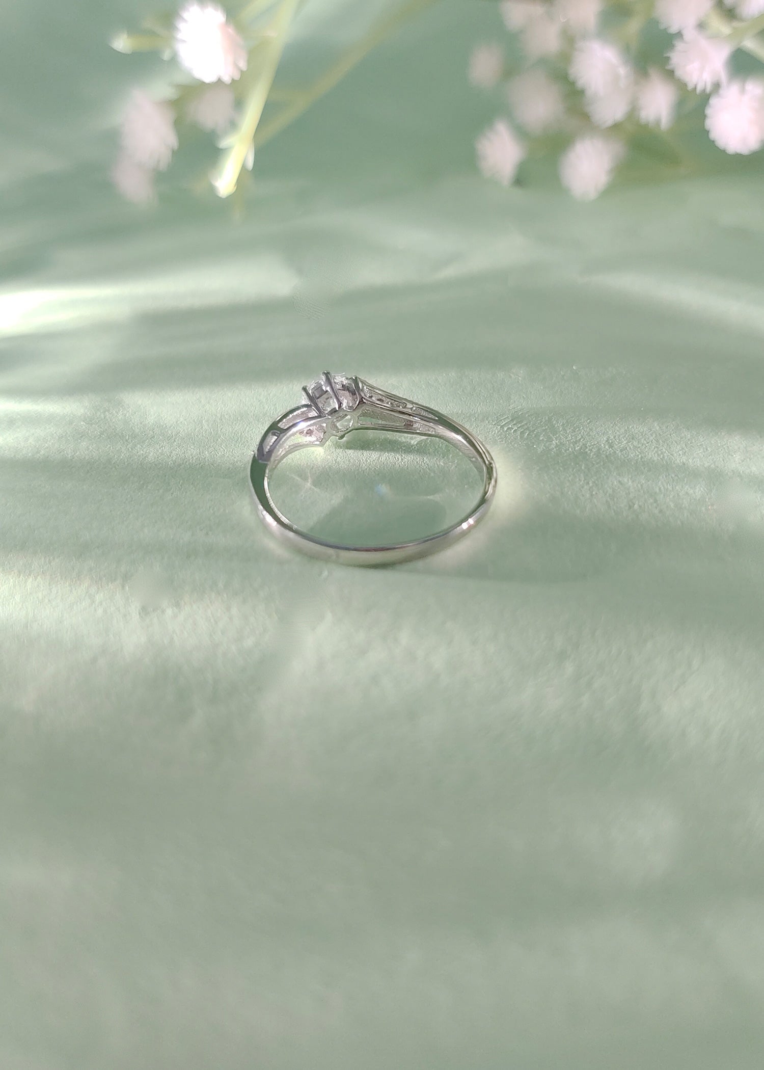 Ring side image