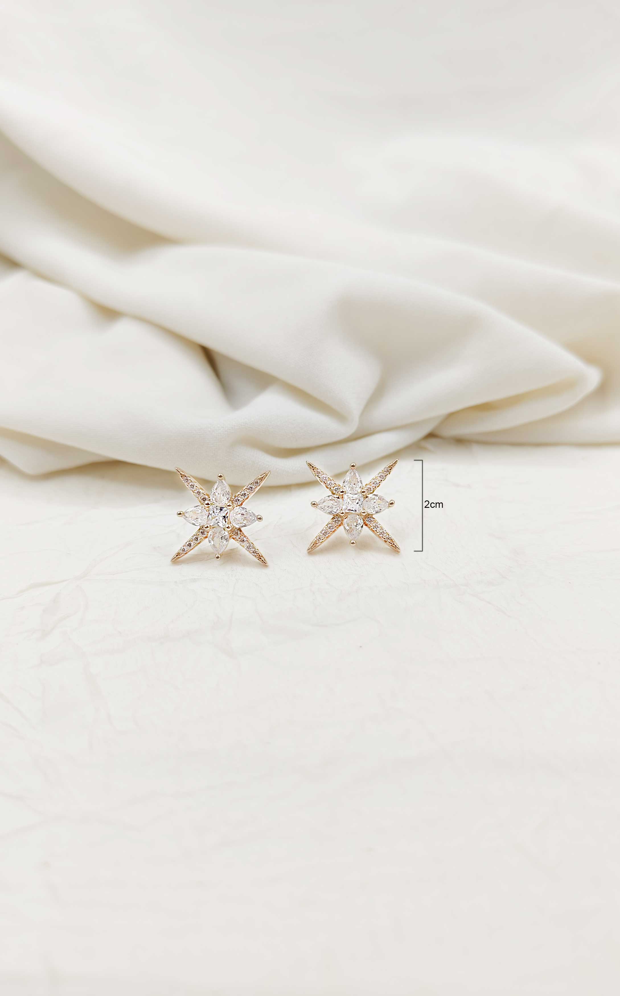 92.5 Sterling Silver Earring